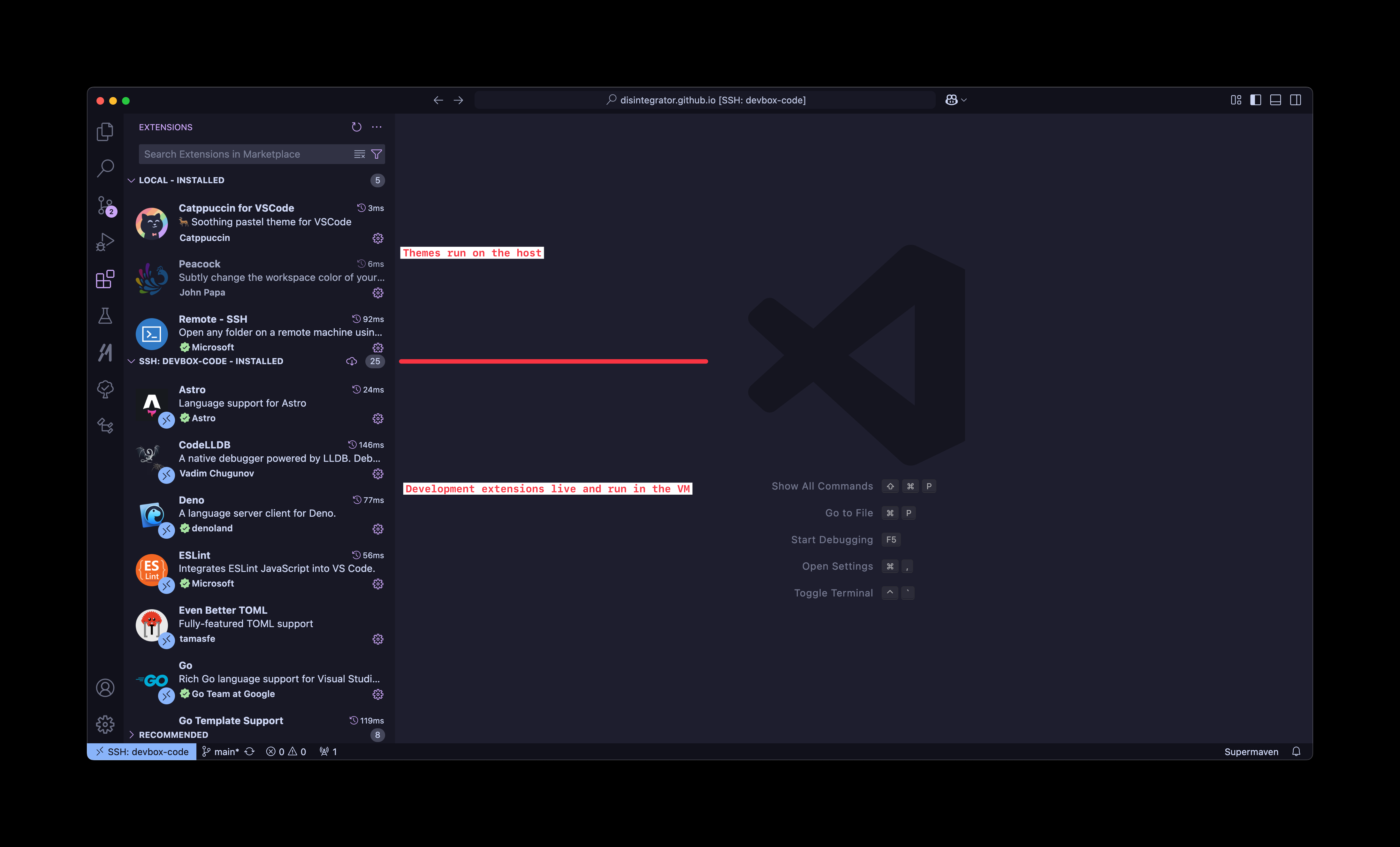 A screenshot of VS Code showing most extensions installed and running inside the VM